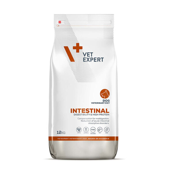 intestinal dog