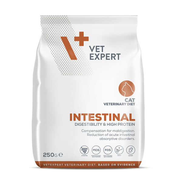 intestinal cat