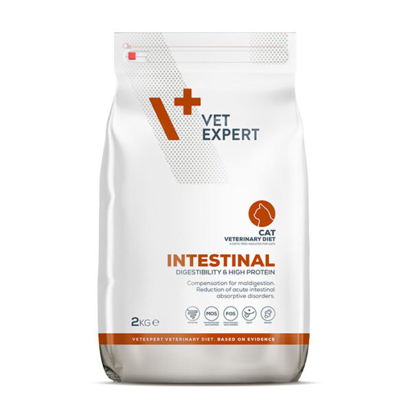 intestinal cat