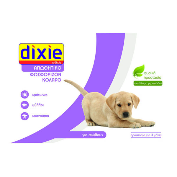 Dixie Γερανιόλη κολάρο φωσφορίζον