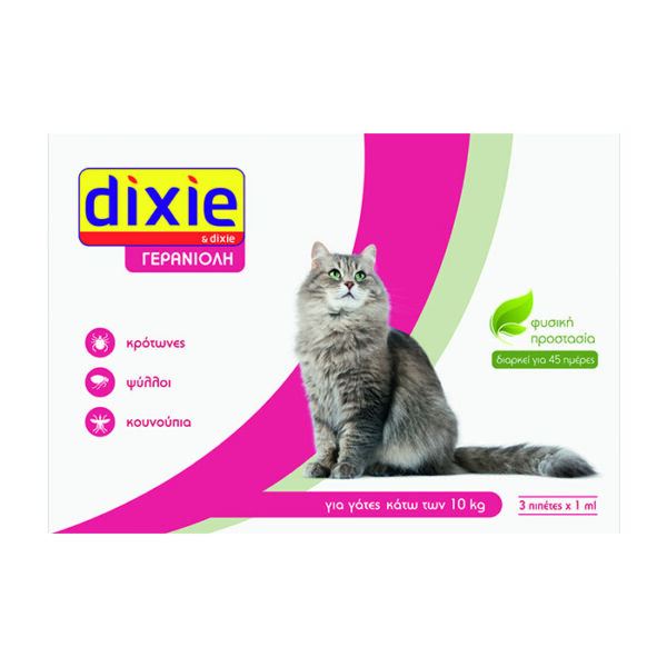 Dixie Γερανιόλη Πιπέτες γατας
