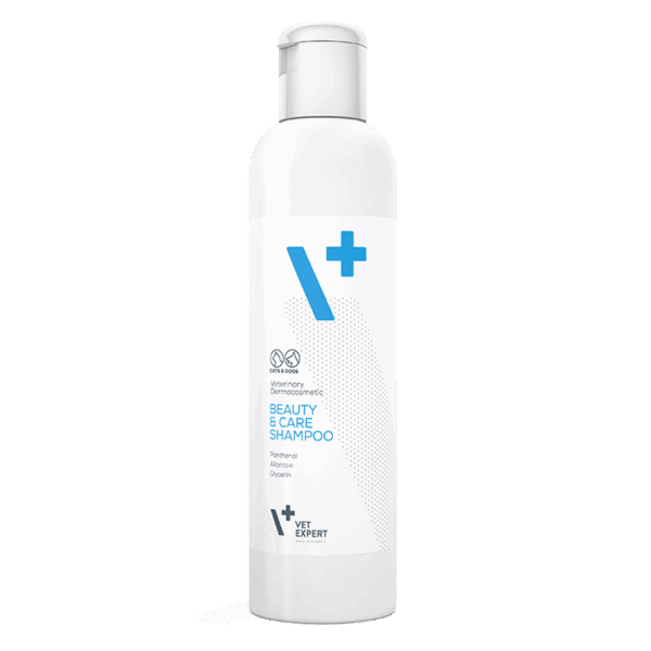 Shampoo Beauty & Care 250 ml