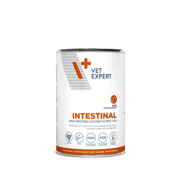 Intestinal dog