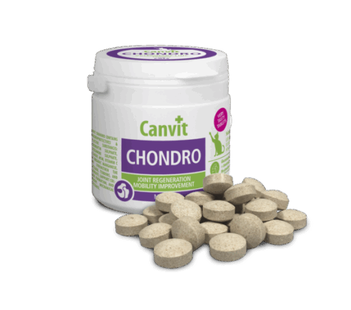 Canvit Chondro Cat 100g/cca100tabs