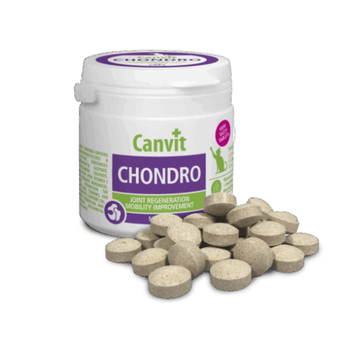 Canvit Chondro Cat 100g/cca100tabs