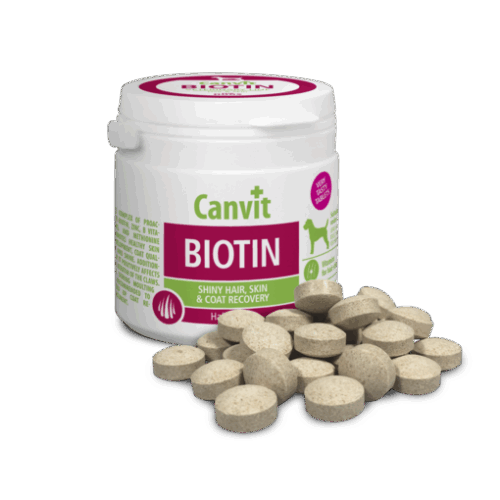CANVIT BIOTIN dog tabs 100g