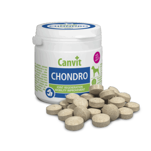 Canvit Chondro Dog 100g/cca100tabs