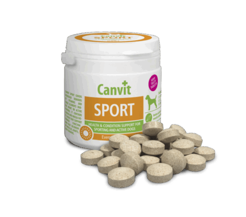 Canvit Sport Dog 100g/cca100tabs