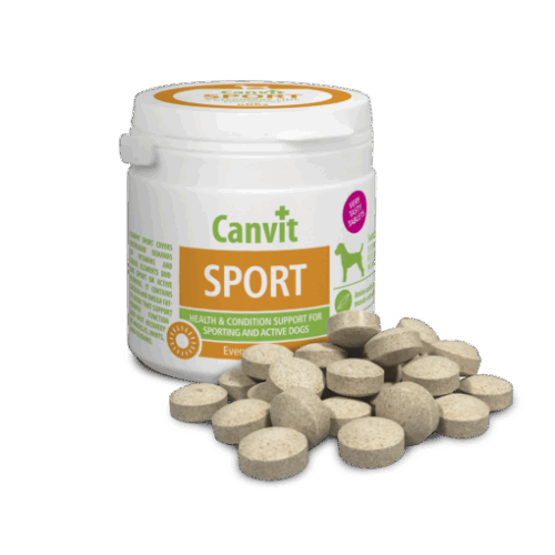 Canvit Sport Dog 100g/cca100tabs