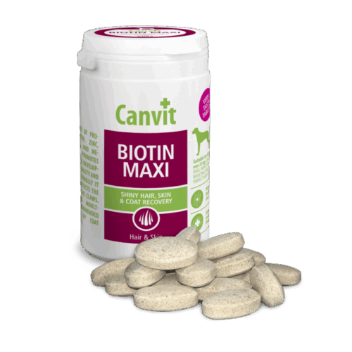 Canvit Biotin Maxi Dog 500g/cca166tabs