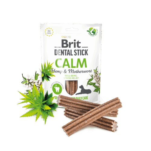 Brit Dental Stick Calm with Hemp & Motherwort