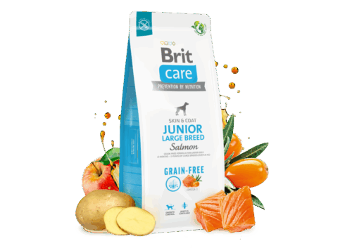 Brit Care D.GF Junior Large salmon 12kg