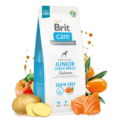 Brit Care D.GF Junior Large salmon 12kg