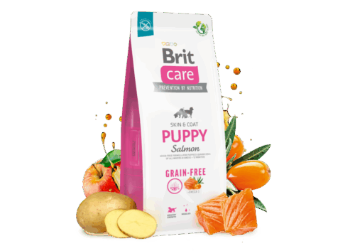 Brit Care D.GF Puppy 3kg