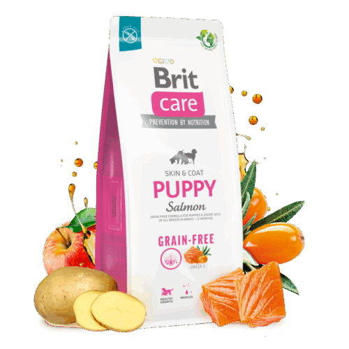 Brit Care D.GF Puppy salmon 12kg
