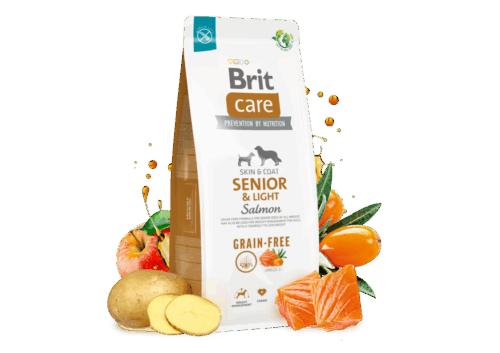 Brit Care D.GF Senior&Light salmon 12kg