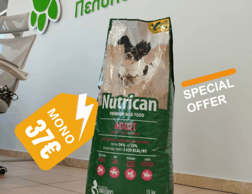 Orange Minimal Flash Sale Discount Instagram Post