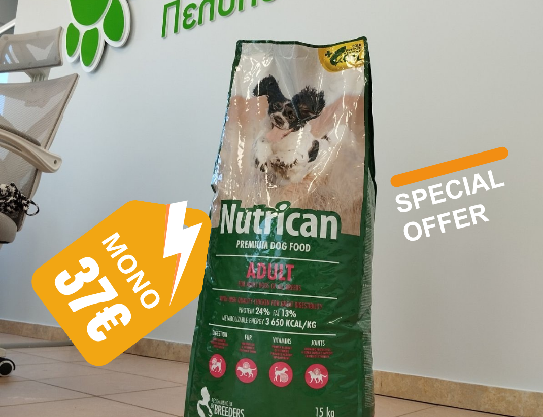 Orange Minimal Flash Sale Discount Instagram Post