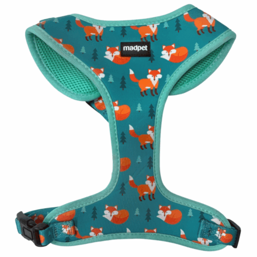 Περιστήθιο