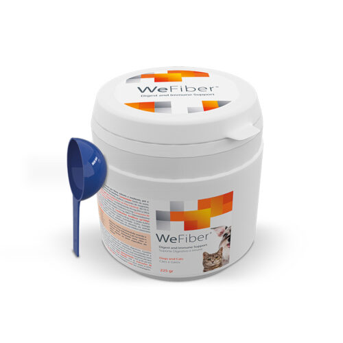 Υποστήριξη Πεπτικού